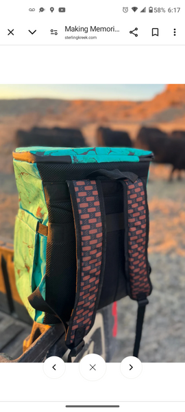 Making Memories Cooler Backpack
