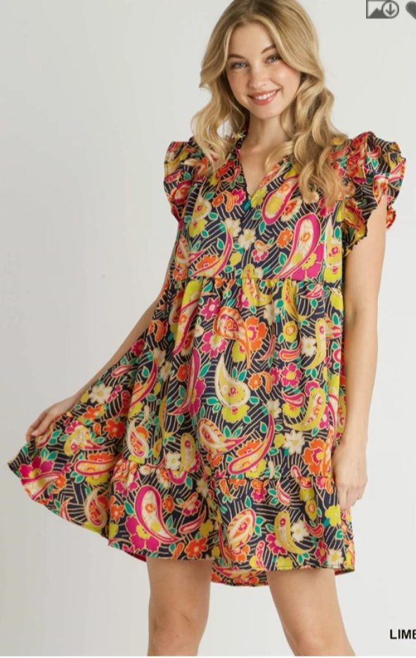Ruffle V-Neck Paisley Print A-Line Dress with Flutter Sleeves - Lime