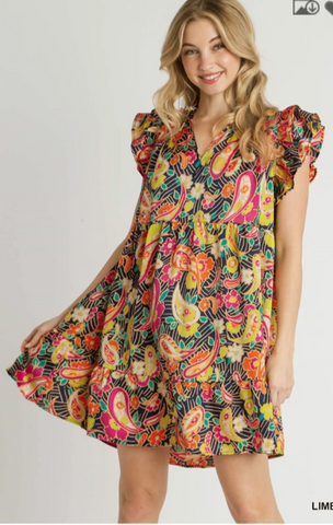Ruffle V-Neck Paisley Print A-Line Dress with Flutter Sleeves - Lime